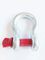 Us Type Bow Shackle for Trailer Dam-Board