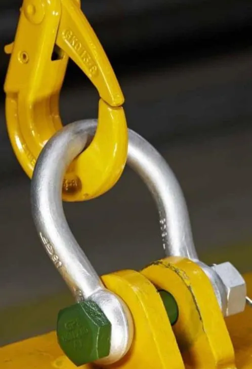 Us Type Bow Shackle for Trailer Dam-Board