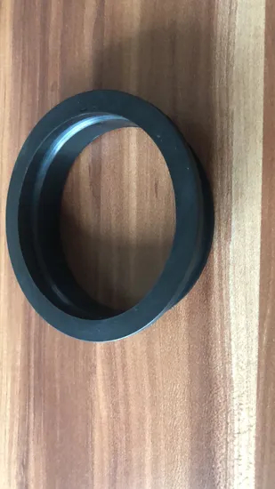 Cheapest Price High Quality Seal Ring